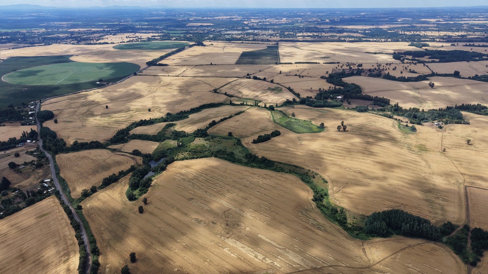 Campo agrícola de 158 hectáreas en Yungay, Ñuble